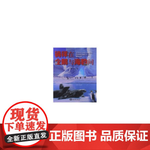 徜徉在企鹅与海豹间