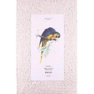 正版新书]鹦鹉圣经[英]爱德华·李尔9787546119359