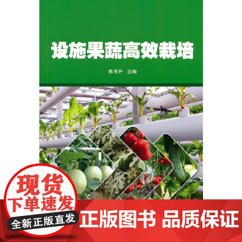 设施果蔬高效栽培