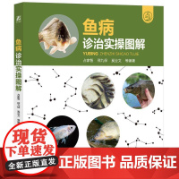机工 鱼病诊治实操图解 占家智 邢九保 奚业文 等