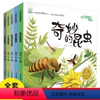 大自然的奥秘科普书 全5册 [正版]奇妙大自然的秘密儿童科普绘本幼儿宝宝科学启蒙早教书昆虫植物百科全书3-6-8岁趣味百