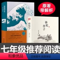 [正版]2本海底两万里和骆驼祥子老舍原著完整版语文七年级下册阅读小学版初中版初中生必读