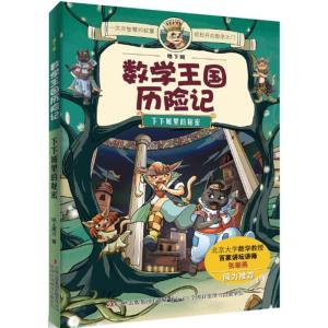正版新书]下下城里的秘密纸上魔方9787553440125