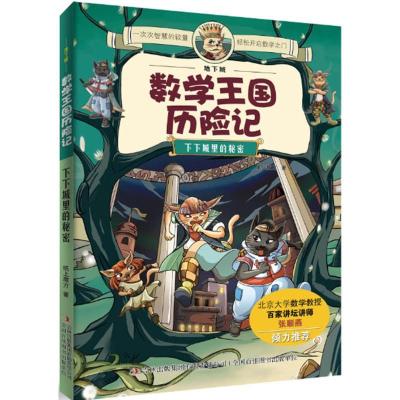 正版新书]下下城里的秘密纸上魔方9787553440125