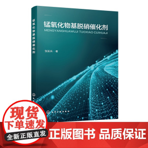锰氧化物基脱硝催化剂 脱硝催化剂 氮氧化物的产生及危害 氮氧化物的控制排放技术 脱硝催化剂测试表征方法 单锰氧化物脱硝催