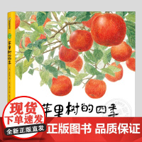 苹果树的四季(正版硬壳精装)我们的田野系列,儿童绘本3三-4-5到6岁以上幼儿园大中小班宝宝孩子早教阅读睡前启蒙故事图画