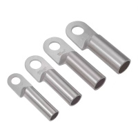 伟鹏双兴 镀锡铜鼻子DT接线端子 DT-10mm² 个