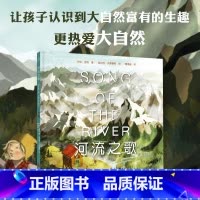 [正版]河流之歌 乔伊&bull;考利著 入围国际安徒生奖 富有大自然气息的追寻小故事 亲子阅读图画故事书启蒙绘本