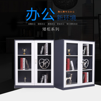 豫亿腾 套色对开门矮柜,档案柜,器械柜,钢制文件柜,更衣柜,办公抽屉铁皮柜,资料柜,带锁