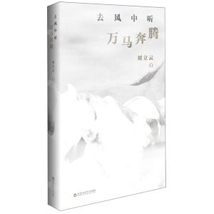 [N]去风中听万马奔腾-9787550047907
