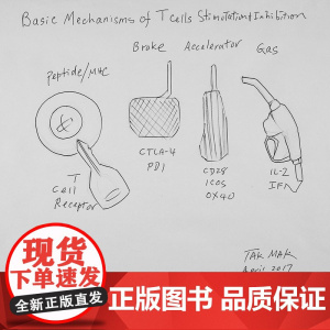 自愈之路 开创癌症免疫疗法的科学家们 新知126 尼尔·卡纳万 著 社会科学