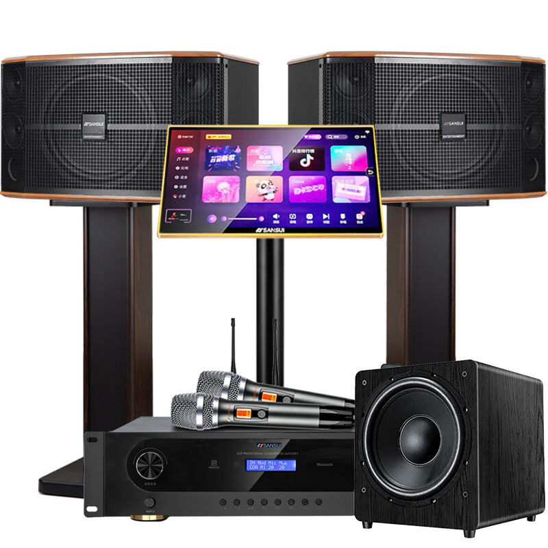 山水(SANSUI)FK-101 家用电视客厅音响套装 大音箱 FK101三分频10吋音箱+功放话筒+2T+低音炮