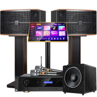 山水(SANSUI)FK-101 家用电视客厅音响套装 大音箱 FK101三分频10吋音箱+功放话筒+2T+低音炮