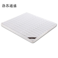 洛苏通盛椰棕床垫家用棕垫5cm防螨抗菌(0胶水天然椰棕+软硬两用+全拆洗)1000mm*2000mm