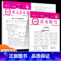 语文活页默写+单元活页卷(人教版) 四年级下 [正版]少而精活页默写计算一年级二年级三四五六年级上册下册语文数学同步练习