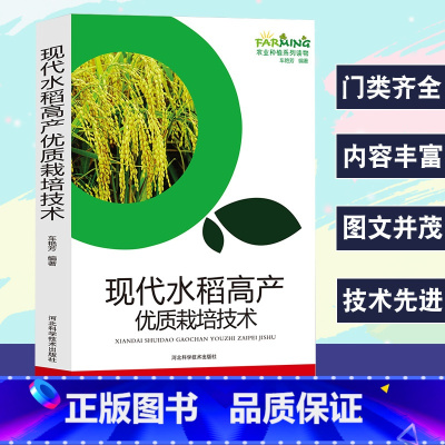 [正版]现代水稻高产优质栽培技术农业种植系列读物农业种植技术大全书水稻种植水稻种植基础知识育秧田间管理生产选育病虫害、杂