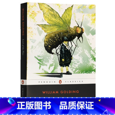 蝇王 [正版]灿烂千阳 英文原版小说 A Thousand Splendid Suns 英文版进口书The Kite R