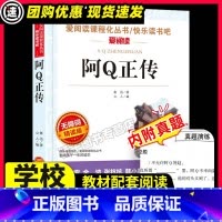 阿Q正传 [正版]陶奇的暑期日记冰心原著必小学生34课外阅读书籍三年级四五六青少年人民儿童文学教育读物天地出版社注释全集