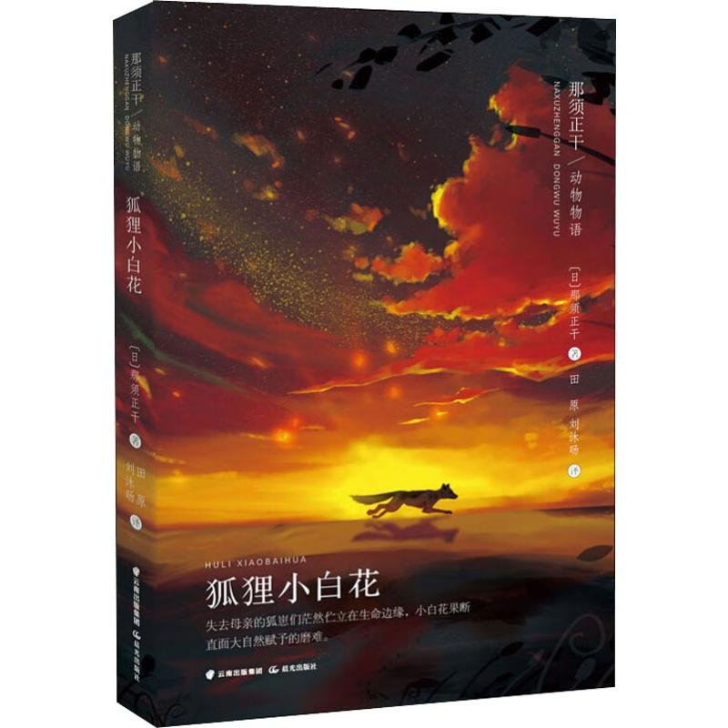 醉染图书狐狸小白花9787571500801