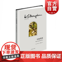 木麻黄树/毛姆文集 [英]毛姆 黄福海译 著有人生的枷锁/月亮和六便士/刀锋等作品 外国当代文学小说 上海译文 世纪出版