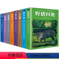 [正版]沈石溪动物小说全集8册全套对比阅读系列残狼灰满红奶羊中小学生课外阅读书籍4-6年级儿童文学四年级课外书初中生畅