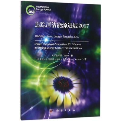 追踪清洁能源进展2017