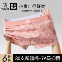 啄木鸟男士内裤纯棉男生2025新款高档四角裤青少年大尺码四角短裤头