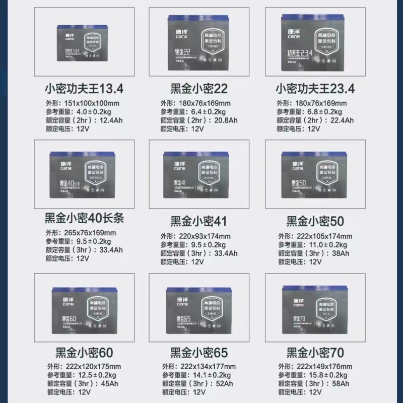 WORXLBN3免维护电池12V/55A.h(222x149x176)*1pc