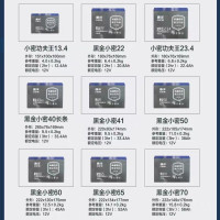 WORXLBN3免维护电池12V/55A.h(222x149x176)*1pc