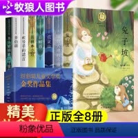 纽伯瑞儿童文学奖[全8册]3-6年级 [正版]纽伯瑞儿童文学奖全套8册 四年级阅读课外书籍儿童文学小说经典阅读三年级读物