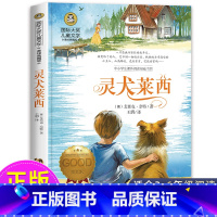[正版]灵犬莱西 三四五年级课外书必读经典书目名著国际大奖儿童文学图书美绘典藏版中小学生课外阅读书籍小说书排行榜