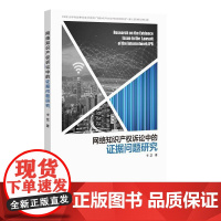 网络知识产权诉讼中的证据问题研究