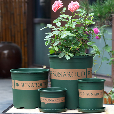 [补贴10%]花盆2024新款高档塑料树脂多肉小绿萝大加仑盆第三代二代树脂简约 绿色升级款(配套托盘)