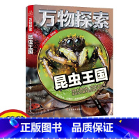 昆虫王国 [正版]万物探索昆虫动物王国揭秘探秘恐龙世界精装版青少版少年儿童百科全书科普类中小学生课外书籍彩图精装大版青少