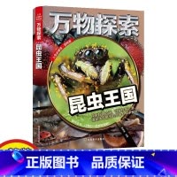 昆虫王国 [正版]万物探索昆虫动物王国揭秘探秘恐龙世界精装版青少版少年儿童百科全书科普类中小学生课外书籍彩图精装大版青少