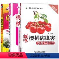 [正版] 樱桃优质丰产栽培实用技术+棚室大樱桃栽培+图说樱桃病虫害诊断与防治 3册 樱桃花果管理技术 修剪 樱桃树