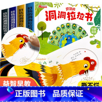 揭秘探险洞洞拉拉机关书 4册 [正版]忙碌的一天手指推拉书撕不烂机关书 绘本0到3岁 1岁以上2岁两三岁宝宝书籍益智早教