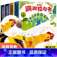 揭秘探险洞洞拉拉机关书 4册 [正版]忙碌的一天手指推拉书撕不烂机关书 绘本0到3岁 1岁以上2岁两三岁宝宝书籍益智早教