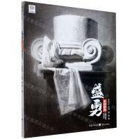 [N]盛勇(素描静物)/敲门砖-9787229150112