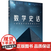 数学史话 从建造金字塔到探索无穷大 (英)安妮·鲁尼(Anne Rooney) 著 钟新 译 自然科学总论专业科技 正版