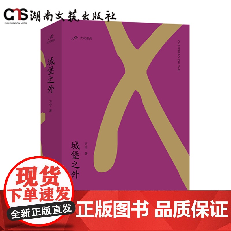 城堡之外-“大风”原创长篇小说系列-万宁