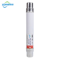 旭德锐 熔断器 XRNT-12/10A/支