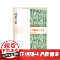 大国村庄的进路