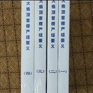 大佛顶首楞严经讲义 净界法师一套4本