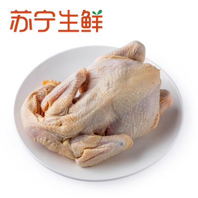 【苏宁生鲜】广东黄油鸡950g 禽肉 鸡肉 国产 整鸡 禽蛋蔬菜