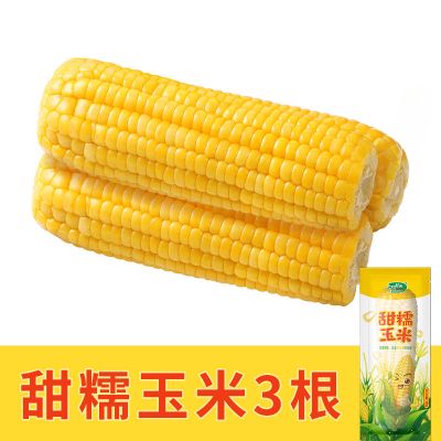玉米新鲜多根真空甜鲜粘糯新黄玉米黄玉米棒180g-220g-3根