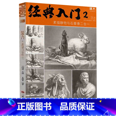 [正版]经典入门2素描静物与石膏像二合一 2023品博文化王洪平