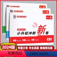 3本套装❤️语文+数学+英语❤️全国通用 小学升初中 [正版]2024版一本小升初冲刺新卷语文数学英语必刷题全国通用小学