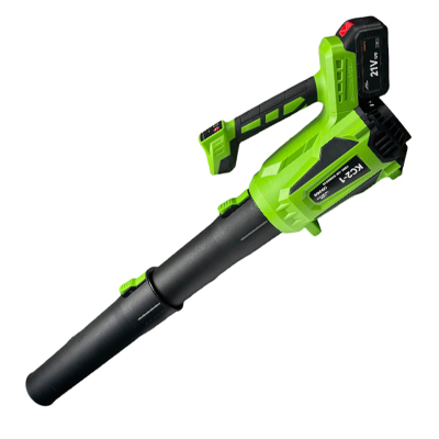 卡西斯顿 锂电吹风机 KC2-1(一电一充) 台