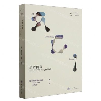 [N]消费图像(当代文化中的风格策略)/拜德雅视觉文化丛书-9787568938945
